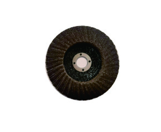 HFLD Double Flap Discs